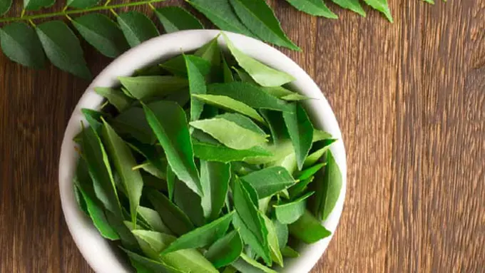 Daun Salam dan Minyak Kelapa dapat menjaga dan merawat keindahan rambut panjang dan lebat Anda