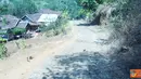 liputan6