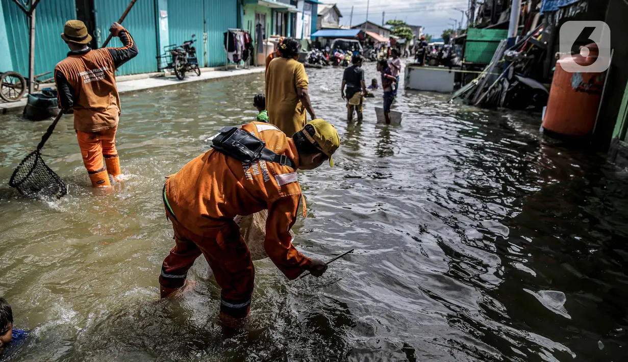 Petugas PPSU membersihkan sampah saat terjadi banjir rob di Pelabuhan Kali Adem, Muara Angke, Jakarta, Selasa (9/11/2021). Walau terendam banjir rob, petugas PPSU tetap sigap bersihkan sampah yang mengambang terbawa air laut. (Liputan6.com/Faizal Fanani)