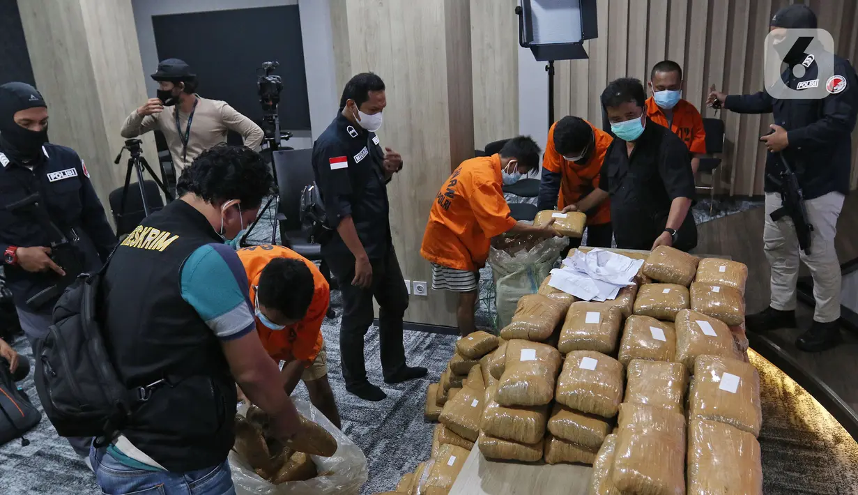 Tersangka merapikan barang bukti ganja di Gedung Divisi Humas Polri, Jakarta, Jumat (26/11/2021). Dirtipid Narkoba mengungkap kasus peredaran narkotika jenis ganja sejumlah 224,4 kilogram jaringan Aceh-Jakarta dengan menangkap empat orang tersangka. (Liputan6.com/Herman Zakharia)