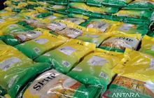 Kementan Optimistis Produksi Beras Nasional Terjaga Hadapi Ancaman El Nino: Strategi Antisipasi Kekeringan Ekstrem