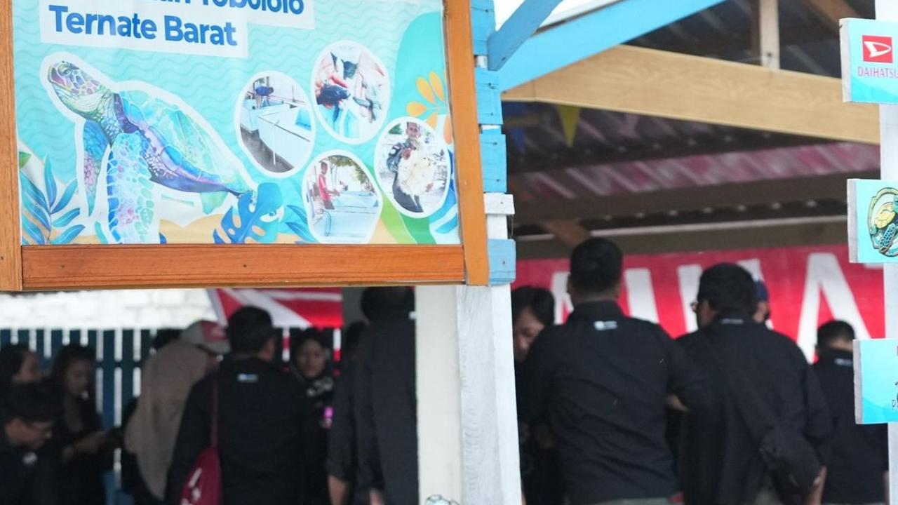 Konservasi ini untuk dua jenis penyu, yakni penyu hijau dan sisik. Setiap Februari, ratusan penyu akan bertelur di Pantai Tobololo ini. Satu penyu dapat bertelur hingga 150 butir.&nbsp;