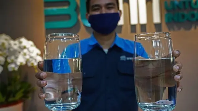 Ikan cupang penghuni baru kantor Kementerian BUMN. (Dok. Instagram @erickthohir)