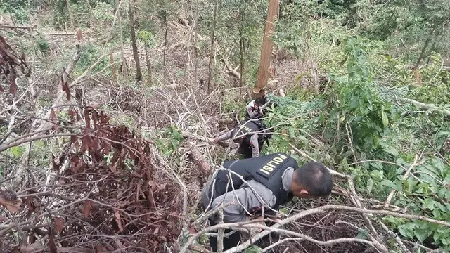 Taman Nasional Kerinci Seblat