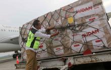 FOTO: Intip Isi Paket Bantuan Pemerintah Indonesia yang Dilepas untuk Membantu Palestina dan Sudan