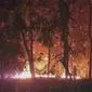 Kebakaran hutan di kawasan Taman Nasional Baluran (Istimewa)
