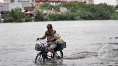 Curah hujan yang tinggi di Jakarta menyebabkan sejumlah kawasan terendam banjir. Tampak seorang mengayuh sepeda melintas di Danau Sunter yang meluap, Jakarta, Selasa (10/2/2015). (Liputan6.com/Faizal Fanani)