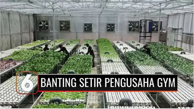 Pandemi Covid-19 membuat sebagian pelaku usaha terpuruk. Tidak menyerah, seorang pemilik pusat kebugaran banting setir berbisnis sayuran hidroponik. Hasilnya, 60 karyawan yang tadinya dirumahkan bisa dipekerjakan kembali.