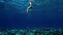 Alyssa Daguise saat menyelam di Labuan Bajo. Menikmati keindahan terumbu karang dan hewan-hewan laut. (Foto: Instagram/ alyssadaguise)