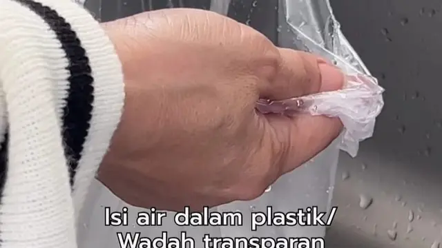 Tak Perlu Obat Serangga, Begini Trik Sederhana Cegah Lalat Masuk Rumah Pakai 1 Alat Dapur