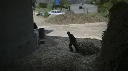 Kolektor membawa sekam tebu di tengah pandemi corona di trapiche panelero, Venezuela (21/9/2020). Jus tebu dibuat menjadi gula tebu utuh yang tidak dimurnikan yang dikenal sebagai panela, yaitu sukrosa berbentuk padat yang berasal dari perebusan dan penguapan sari tebu. (AP Photo/Matias Delacroix)