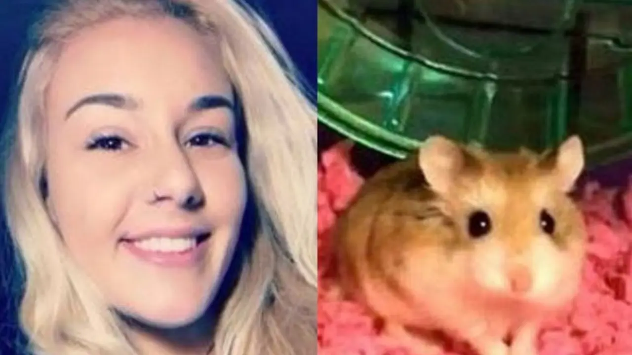 Hamster bernama Pebbles milik Belen Aldecosea yang dibuang ke kloset (Belen Aldecosea)