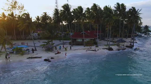 Pulau Derawan