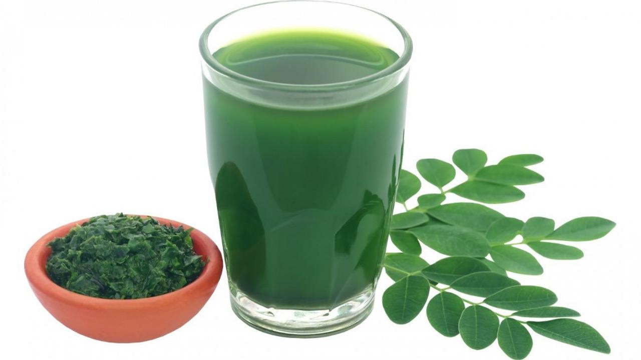 Olahan Daun Katuk