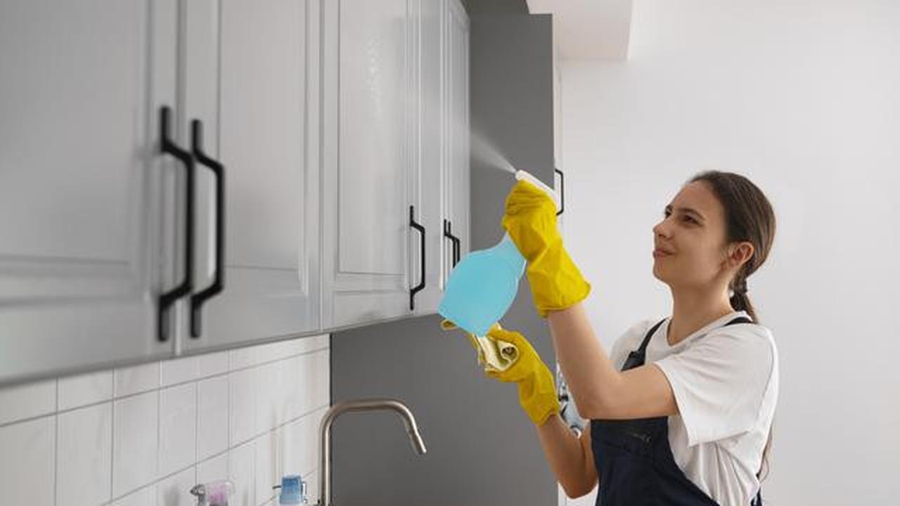 Cara Cegah Tikus Colong Makanan Dapur, Jangan Sampai Masuk Rumah