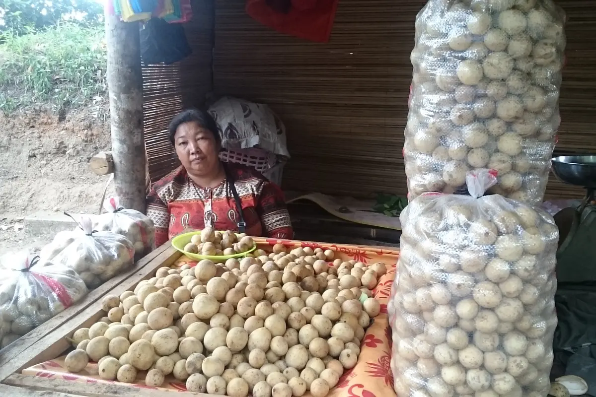 Penjual Buah Duku dan Duren di Sepanjang Jalan Lintas Antar Kabupaten