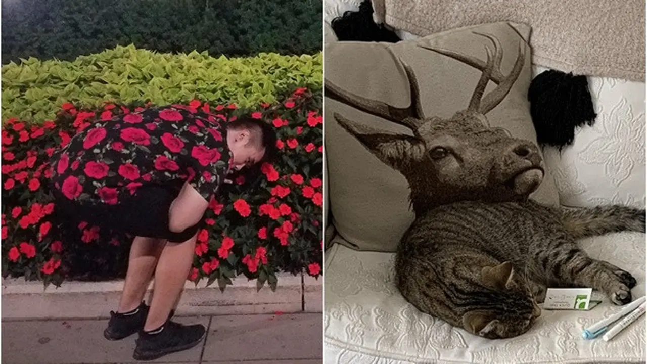 Harus Dilihat Dua Kali, 6 Foto Ini Bikin Mata Terkecoh