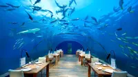 Sensasi Menikmati Kuliner Berteman Ikan-ikan dapat Anda temui di Ithaa Undersea Restaurant, restoran di bawah laut Maladewa. (Foto: AtlasObscura.com)