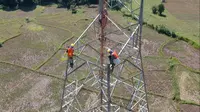 PT PLN (Persero) tengah menyelesaikan pembangunan jaringan tol listrik di Sumatera (dok: PLN)