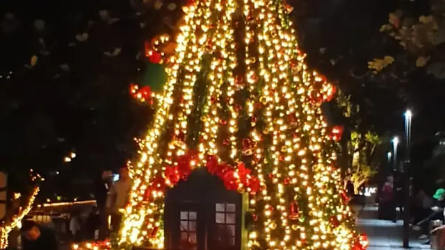 Pohon Natal Ikonik dari 500 kg Plastik Daur Ulang dihiasi lampu. Dok. Istimewa