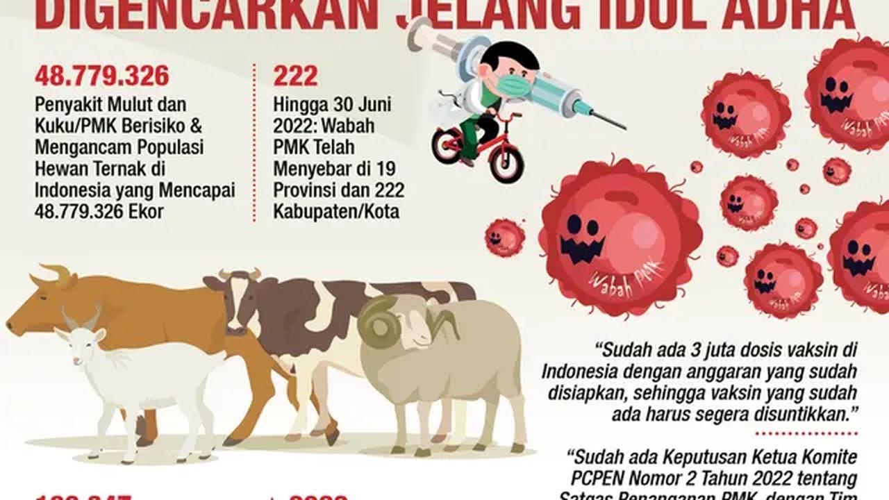 Infografis Vaksinasi PMK Hewan Ternak Digencarkan Jelang Idul Adha. (Liputan6.com/Abdillah)