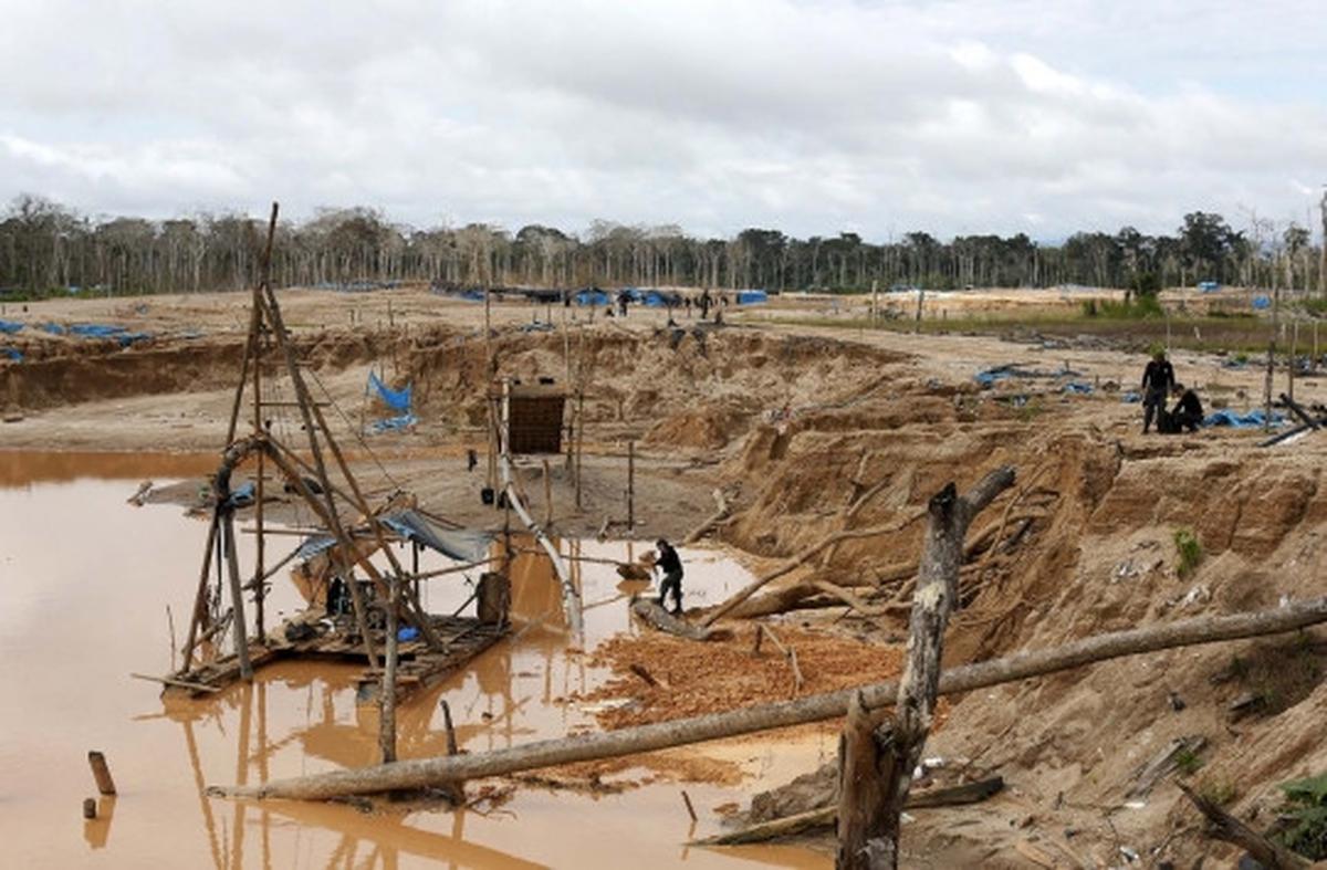 Kamp dibakar polisi, penambang liar di Peru tinggalkan Hutan Amazon