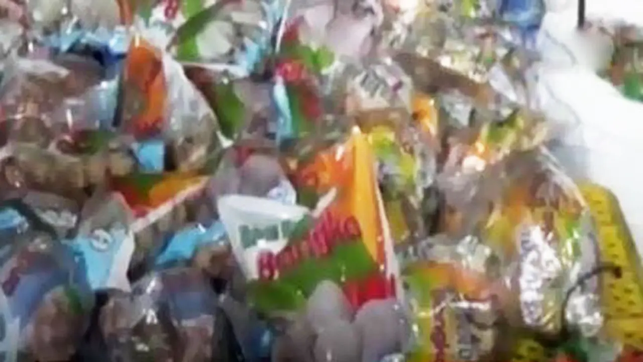 VIDEO: Pabrik Bakso Boraks di Bogor Produksi 1,5 Ton per Hari