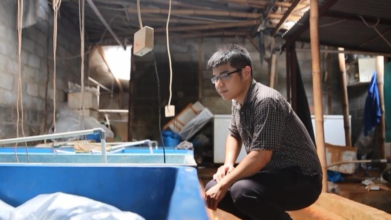 Pengusaha Ini Dulang Untung Berlimpah dari Ekspor Ikan Hias