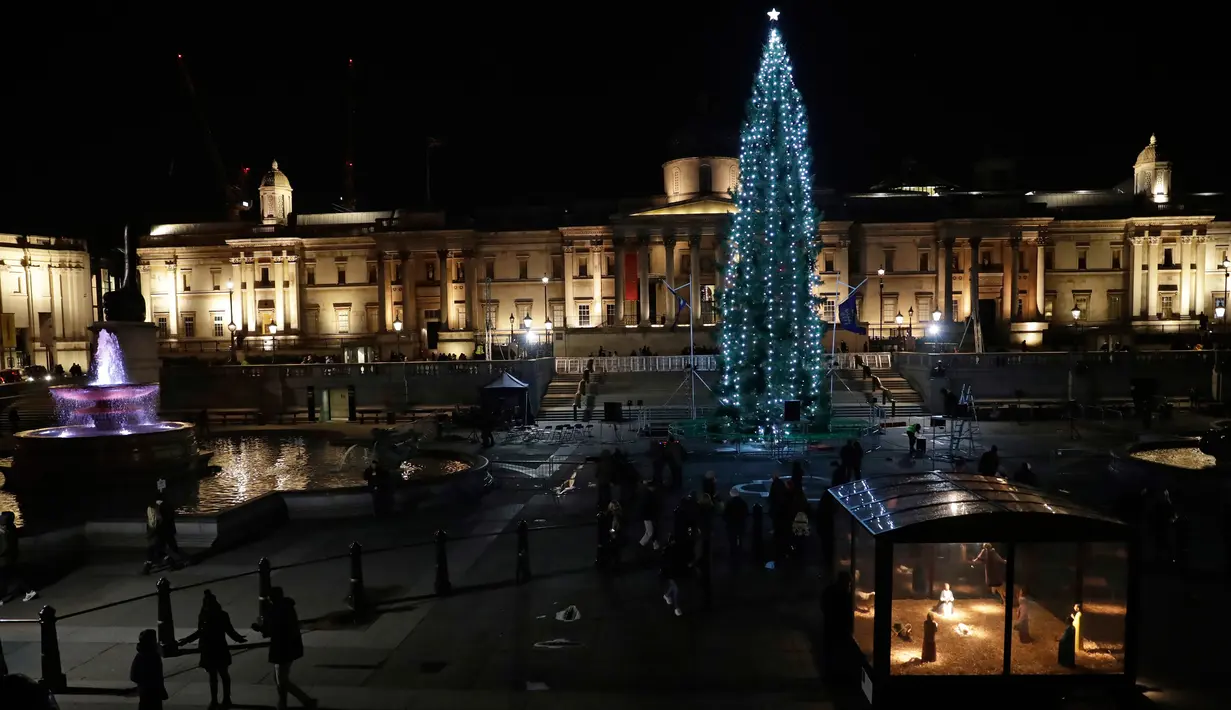 Sebuah pohon Natal raksasa berdiri tegak seusai tradisi penyalaan lampu di Trafalgar Square, London, 7 Desember 2017. Pohon Natal ini didirikan dari cemara Norwegia yang berusia 70 tahun dengan tinggi lebih dari 20 meter. (AP Photo/Matt Dunham)