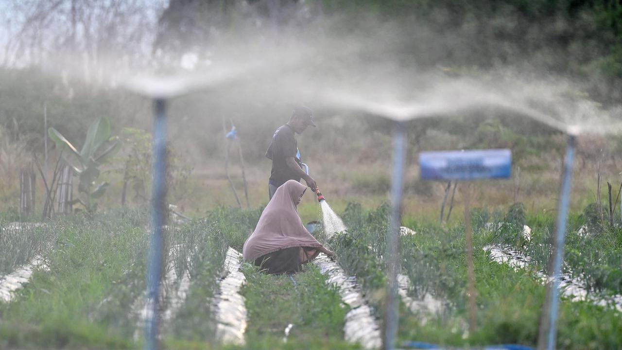 Lahan Bekas Lumpur Banjir Bandang Jadi Areal Pertanian Produktif di Pidie Jaya
