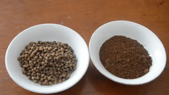 Kopi dari Biji Pepaya yang Bebas Kafein