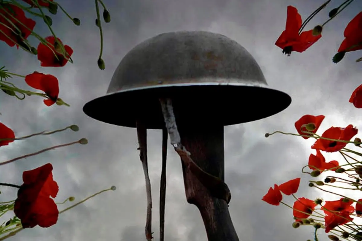 What Is Veterans Day? Date, History, and Impact on Public Service in the United States