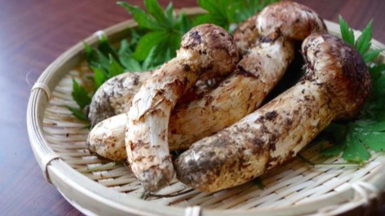 5 Makanan Paling Mahal di Dunia, Ternyata Kunyit Masuk dalam Daftar