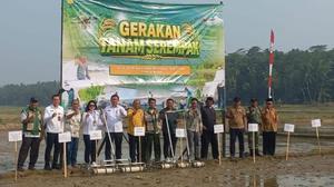 Gerakan Tanam Serempak Lebak: Pemkab dan Kementan Perkuat Swasembada Pangan Nasional