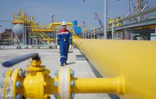 Pemerintah Beri Sinyal 7 Sektor Industri Bakal Nikmati Harga Gas Murah