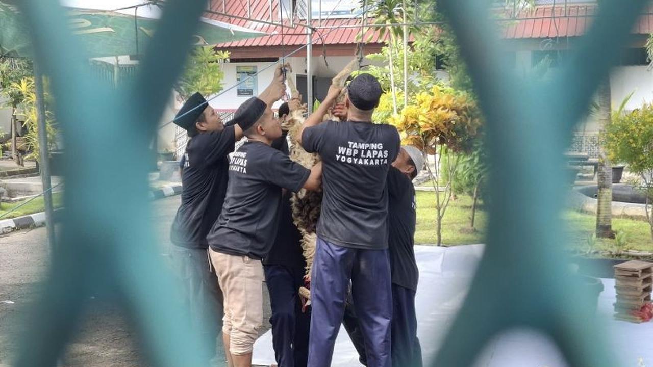 Lapas Wirogunan Rayakan Idul Adha Penuh Khidmat, Warga Binaan Antusias Ikuti Penyembelihan Kurban