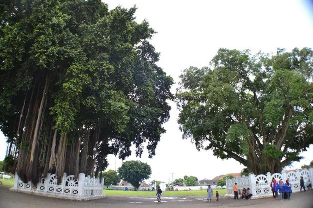 5 Rekomendasi Aktivitas di Yogyakarta, Hadirkan Pengalaman Liburan Berkesan