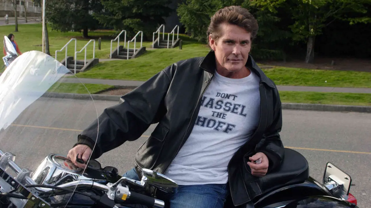 david hasselhoff