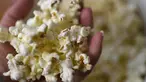 Kandungan karbohidrat dan tryptophan (asam amino) di dalam popcorn dapat menghasilkan hormon serotonin sehingga dapat membuat tubuh menjadi lebih rileks dan lebih mudah untuk tidur. (AFP PHOTO / LOIC VENANCE)