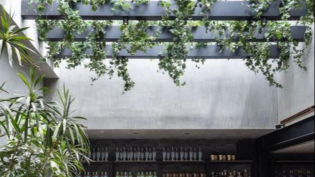 Desain Kafe Outdoor dengan Atap Terbuka yang Segar