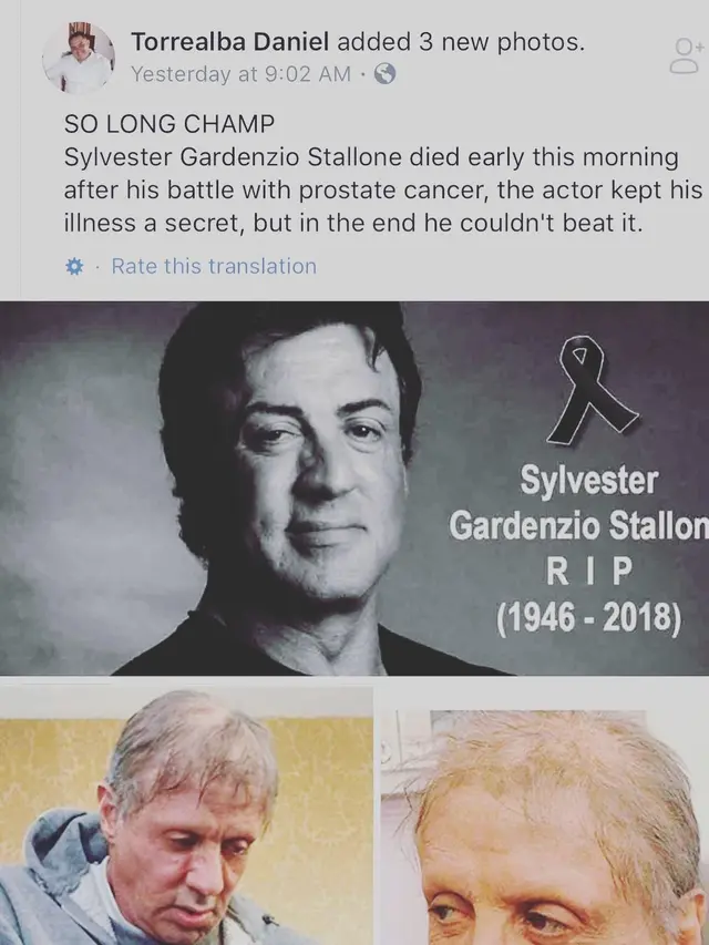 [Bintang] Sylvester Stallone