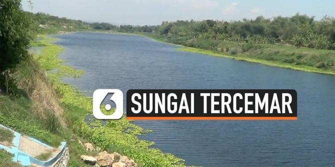VIDEO: Miris, Sungai Bengawan Solo Tercemar Limbah Pabrik