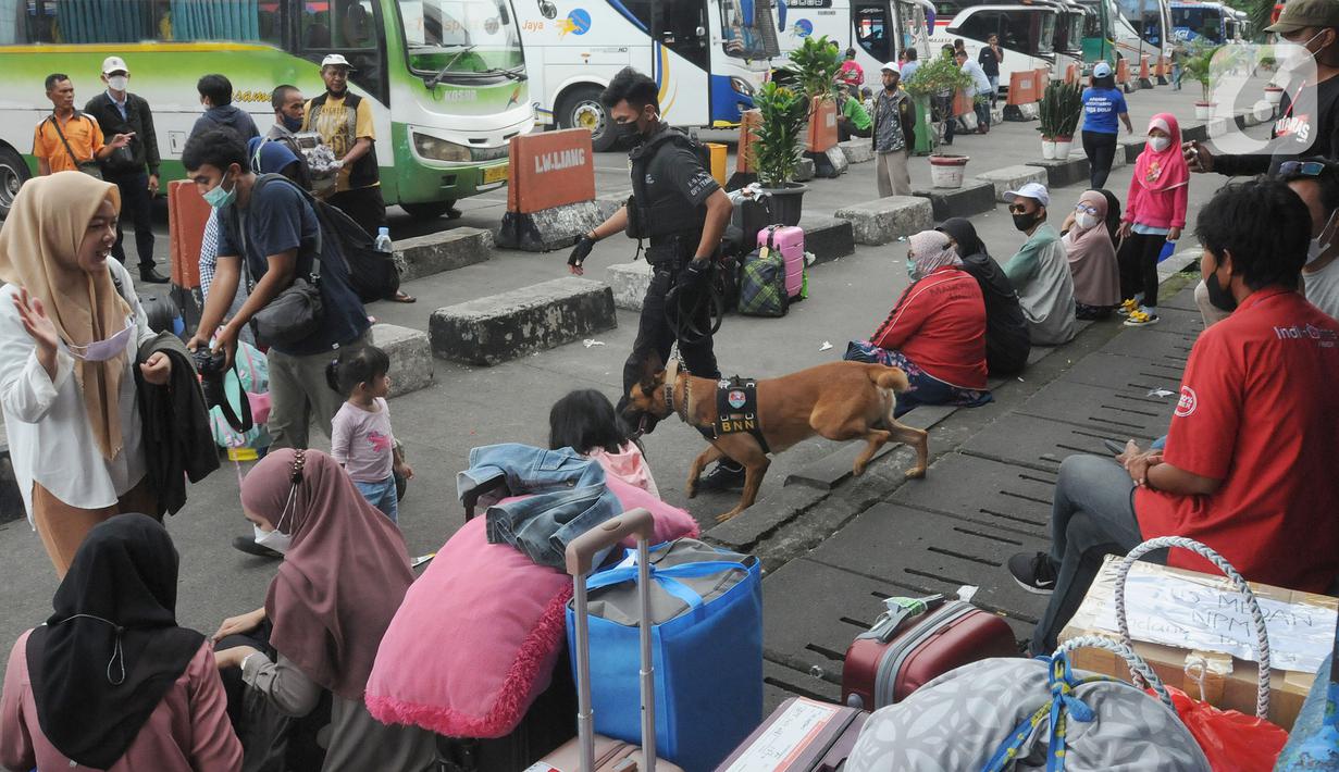 <p>Seorang petugas berpatroli dengan anjing pelacak K9 BNN di Terminal Kampung Rambutan, Jakarta, Rabu (27/04/20222). Pemeriksaan dengan anjing pelacak tersebut dilakukan guna mengantisipasi peredaran narkoba di tengah arus mudik menyambut Lebaran atau Hari Raya Idul Fitri 1443 H. (merdeka.com/Arie Basuki)</p>