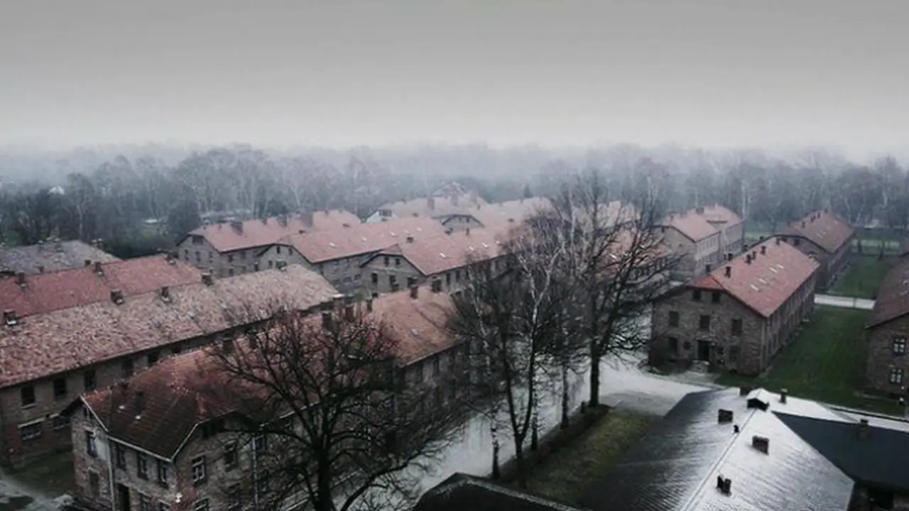 Auschwitz (0)