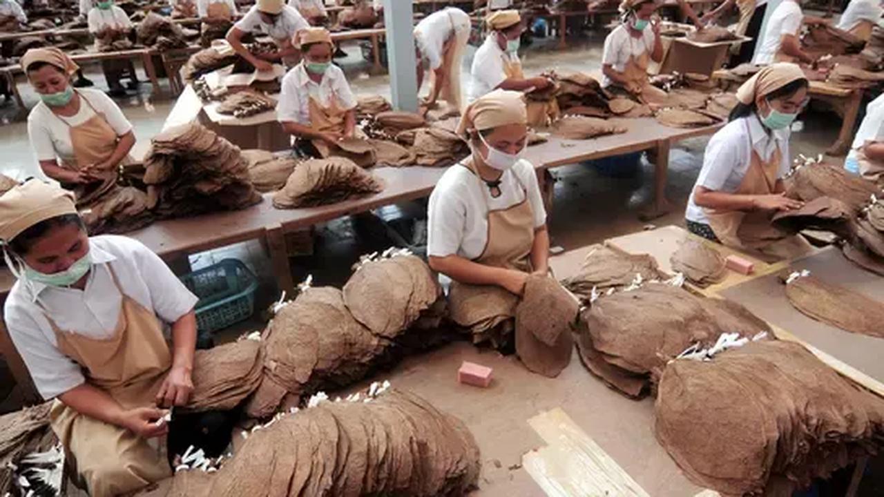 Ekonom, Vid Adrison menilai penurunan produksi pada golongan I terjadi karena turunnya permintaan pasar di golongan I.