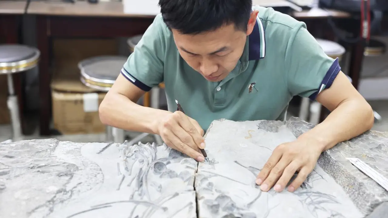 Restorasi fosil reptil laut di Wuhan