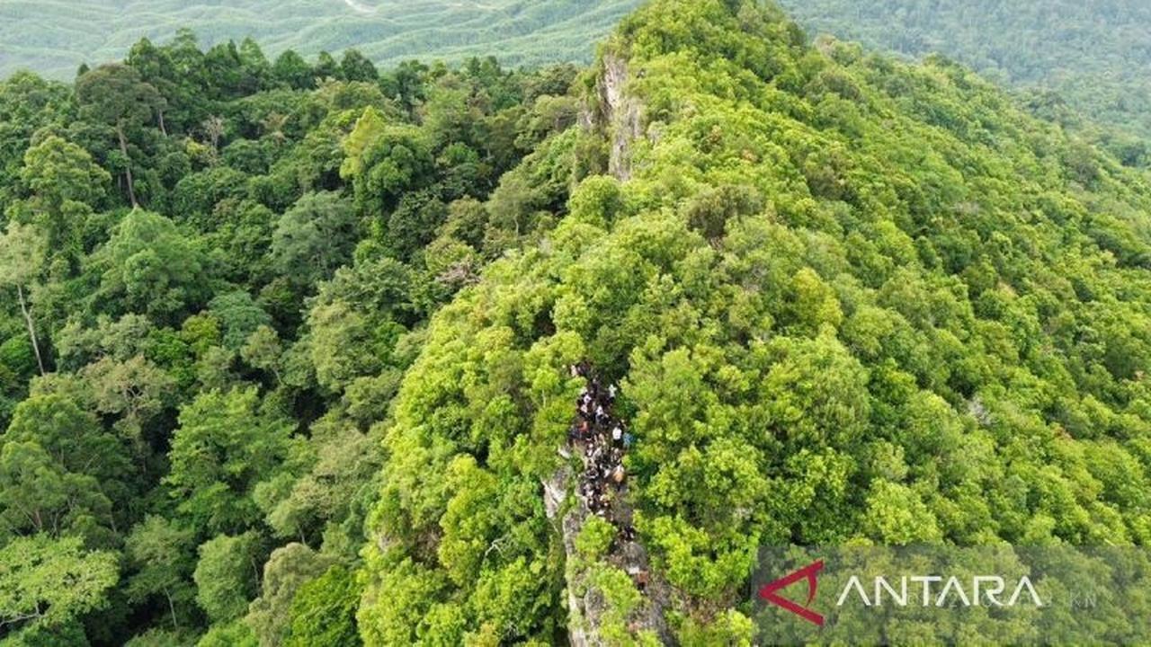 IKN Lindungi Satwa Liar dan Bangun Hutan Endemik Kalimantan, Wujudkan Kota Hutan Berkelanjutan