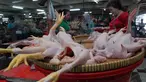 Suasana pedagang ayam di pasar Minggu, Jakarta, Kamis (24/7/2014) (Liputan6.com/ Miftahul Hayat)
