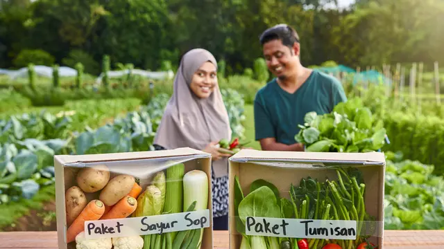 Ide Kebun Sayur Komunitas yang Bisa Dijual Hasilnya (AI)