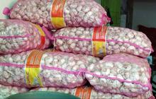 Pemerintah Bakal Impor 20.000 Ton Bawang Putih dari China, Ini Alasannya
